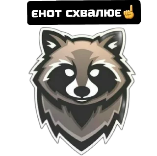 Sticker Єнот🦝 - 9