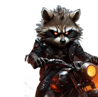 Sticker Єнот🦝 - 3