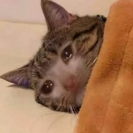 Больше стиков тут: @stikery4 - 