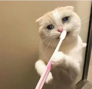 Sticker Больше стиков тут: @stikery4 - 3