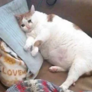 Sticker Больше стиков тут: @stikery4 - 10