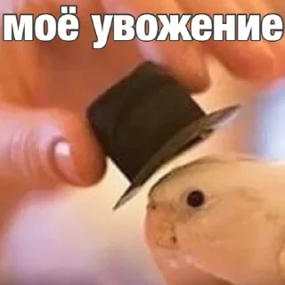 Sticker Создай стики 👉 @QStickRobot - 4