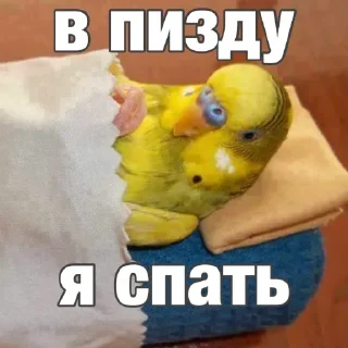 Sticker Создай стики 👉 @QStickRobot - 3