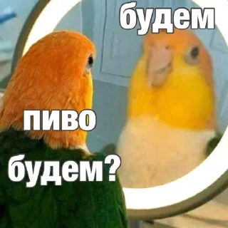 Sticker Создай стики 👉 @QStickRobot - 6