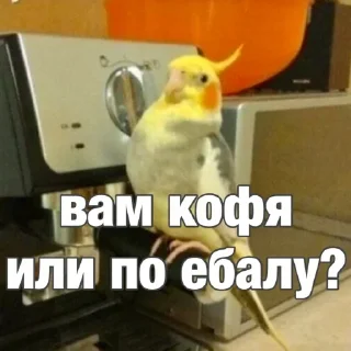 Sticker Создай стики 👉 @QStickRobot - 5