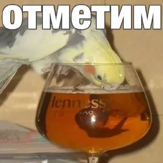 Sticker Создай стики 👉 @QStickRobot - 8