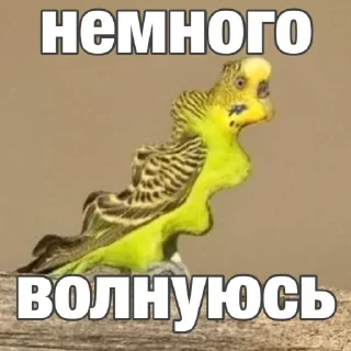 Sticker Создай стики 👉 @QStickRobot - 0