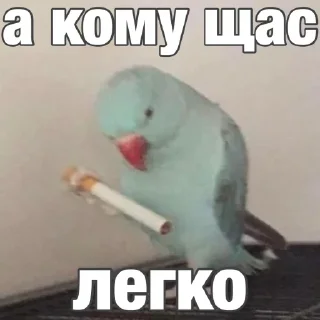 Sticker Создай стики 👉 @QStickRobot - 10