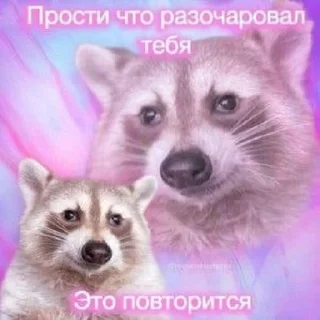 Sticker @kpopCatMagazine - 5