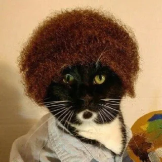 Sticker @kpopCatMagazine - 1