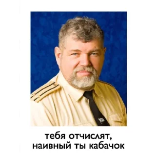 Sticker Леопардовые лосины 10-4 - 9