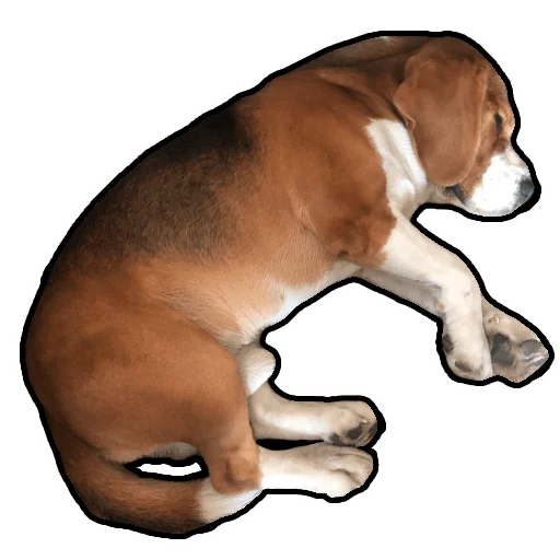 Стикер beagle_gucci - 1