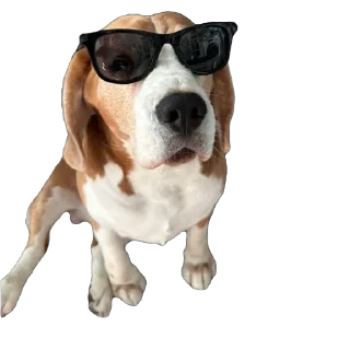 Стикер Бигль Гучи - 5