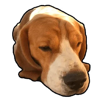 Стикер Бигль Гучи - 10