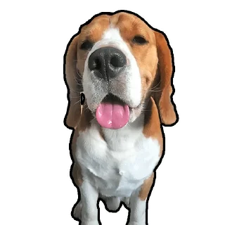 Стикер Бигль Гучи - 7