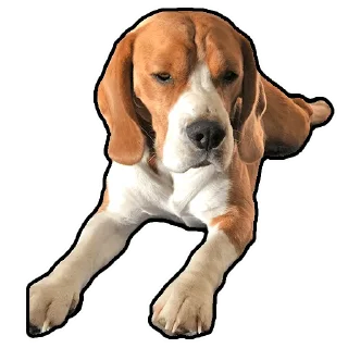 Стикер Бигль Гучи - 11