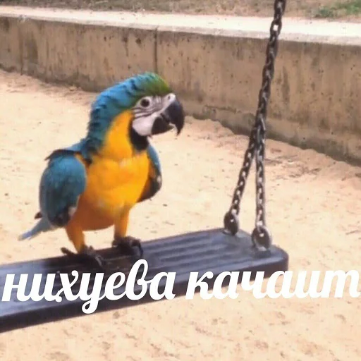 Стикер @beatmakers_chat - 5