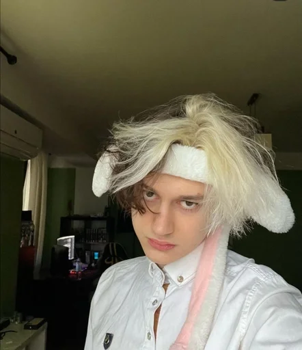 Человек человеческое лицо комнатный