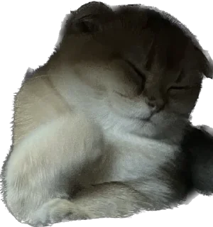 Стикер Кошь из сгущенки - 10