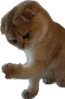 Стикер Кошь из сгущенки - 6