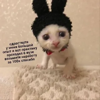 Стикер Бебрики на РАБоте - 11