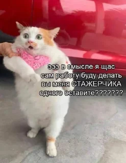 Стикер Бебрики на РАБоте - 0