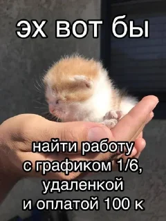 Стикер Бебрики на РАБоте - 1