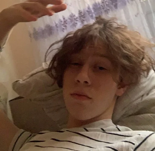 Человек человеческое лицо комнатный