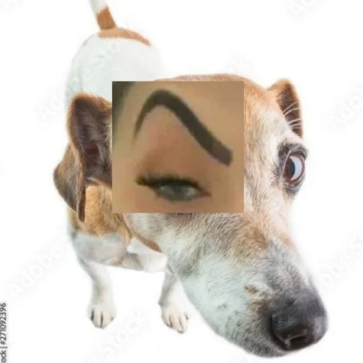 бебры все в адидасах - 