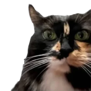 Стикер DEGRASTREAM автор @degozz - 5