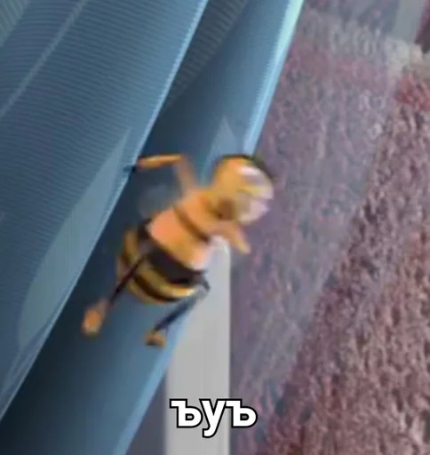 invertebrate insect yellow