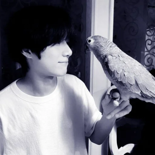 bird person human face