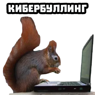 Стикер Белки @stickernayaa - 1