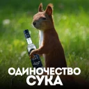 Стикер белка с жопой в колесе - 11