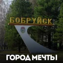 Стикер белка с жопой в колесе - 4