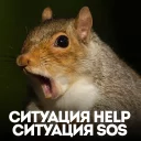 Стикер белка с жопой в колесе - 5