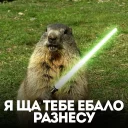 Стикер белка с жопой в колесе - 2