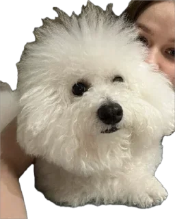 Стикер беллисимо😮‍💨 - 5