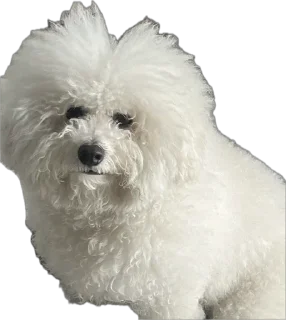 Стикер беллисимо😮‍💨 - 9