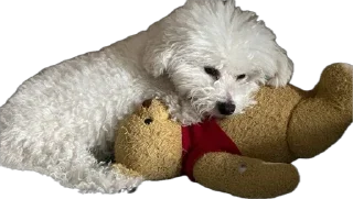 Стикер беллисимо😮‍💨 - 10