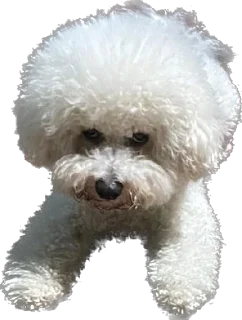 Стикер беллисимо😮‍💨 - 11