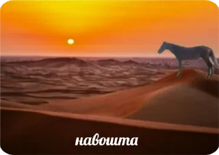 Стикер беларускія мемы для душы - 8