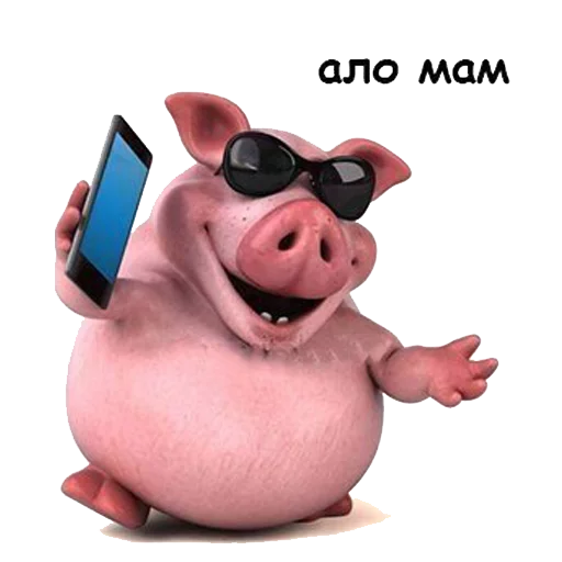 Sticker beniz prikol pack - 0