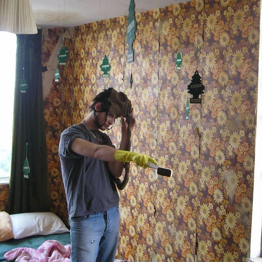 wall clothing indoor