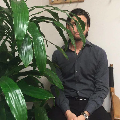 person clothing houseplant