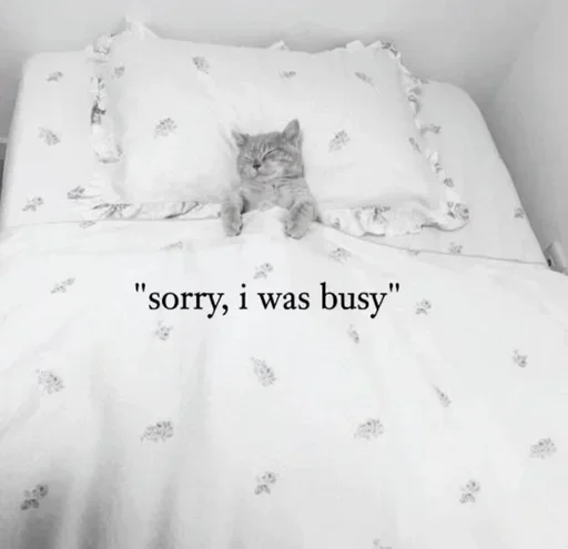 ⲙ᧐rᥱ ➝ @benti_stickers - 