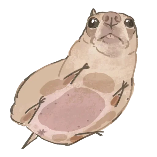 Sticker benti_meme - 1