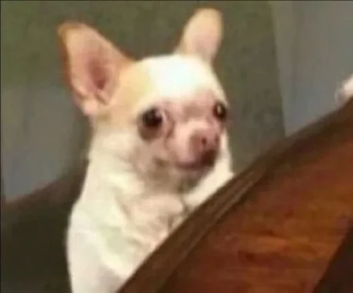 Sticker benti_meme - 1