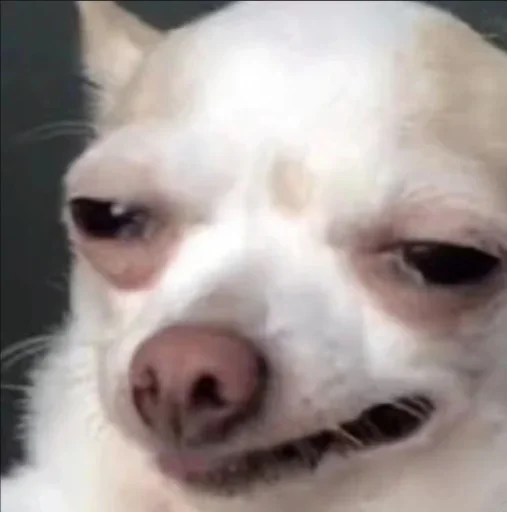 Sticker benti_meme - 1