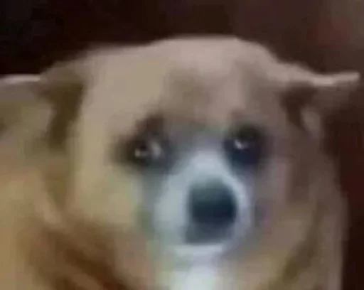 Sticker benti_meme - 1